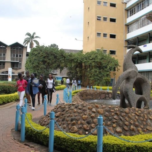 Campus Visits