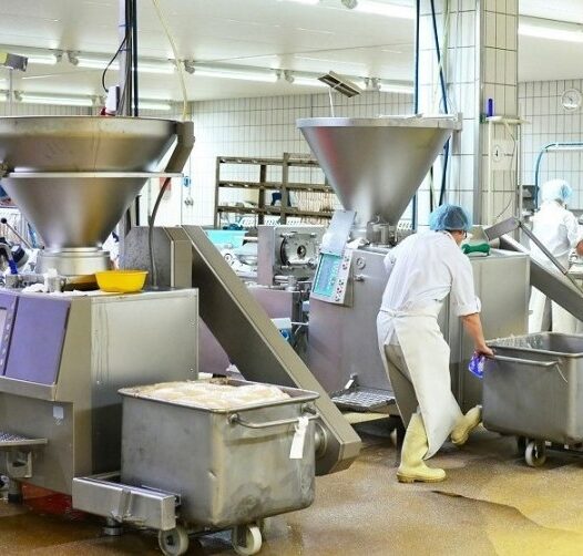 Bachelor of Science (Agribusiness Economics and Food Industry Management)