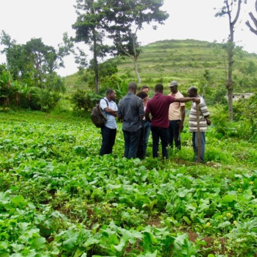 Bachelor of Science (Agricultural Education and Extension