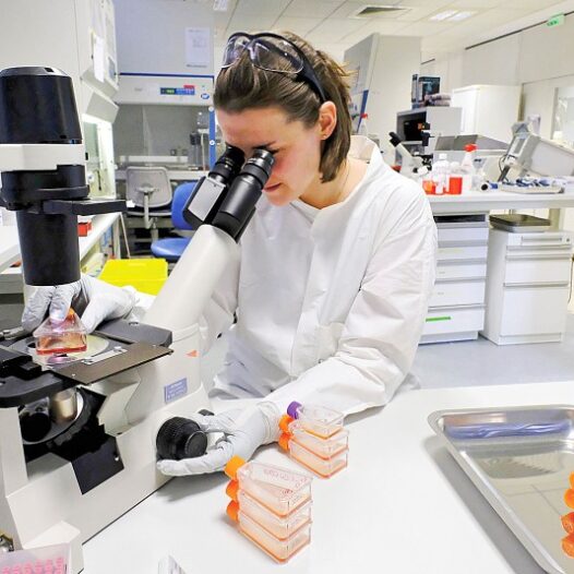 Bachelor of Science (Analytical Chemistry)