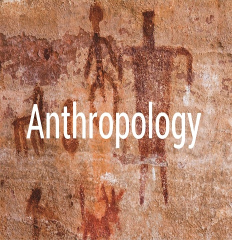 Bachelor of Arts (Anthropology)