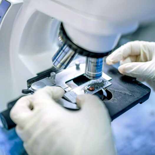 Bachelor of Technology (Applied Biology)