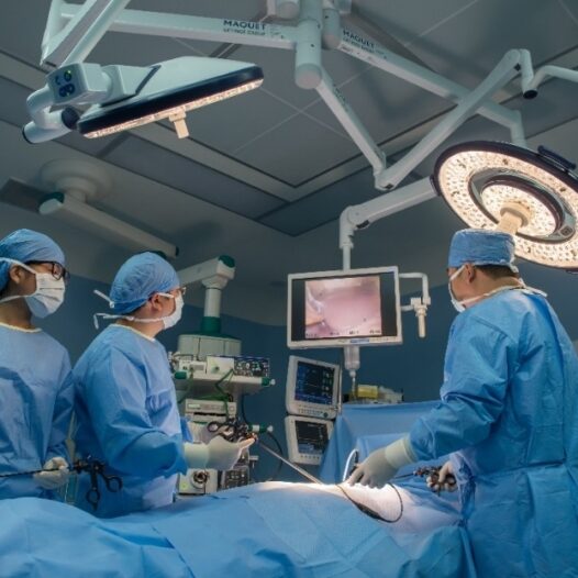 Bachelor of Medicine and Bachelor of Surgery (M.B.Ch.B)