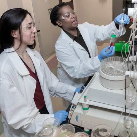 Bachelor of Technology (Biotechnology)