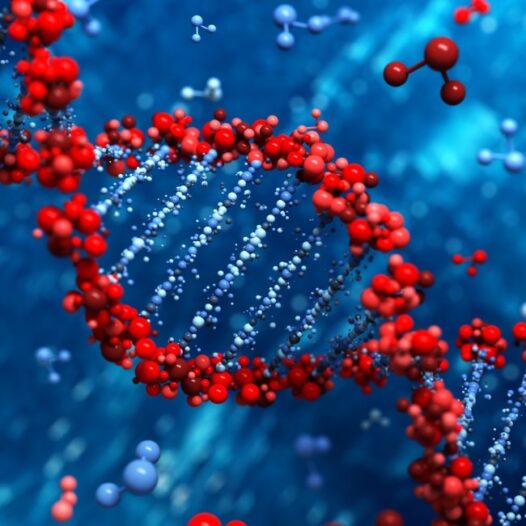 Bachelor of Science (Biochemistry and Molecular Biology)