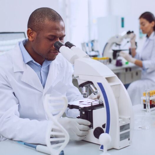 Bachelor of Science (Biomedical Science)