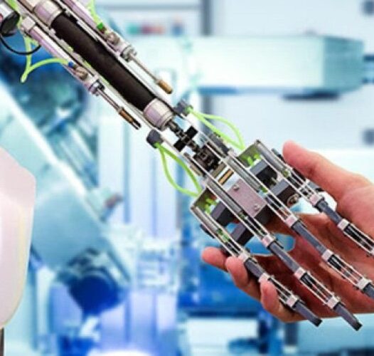 Bachelor of Science (Biomedical Engineering)