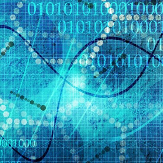 Bachelor of Science (Biostatistics)