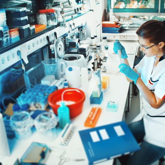 Bachelor of Science (Biotechnology)