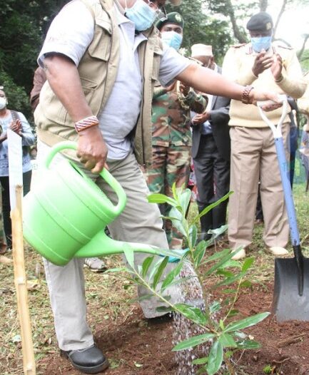 Bachelor of Environmental Studies (Environmental Resource Conservation)