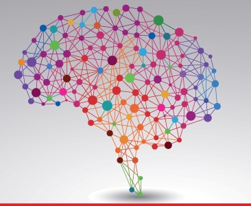 Bachelor of Arts (Counselling Psychology)