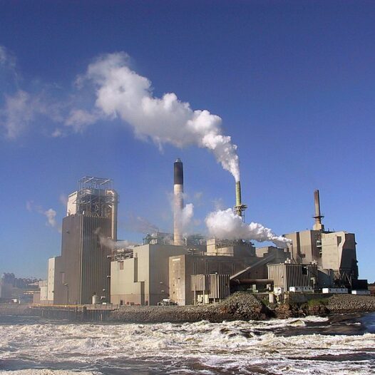 Bachelor of Science (Environmental Chemistry)