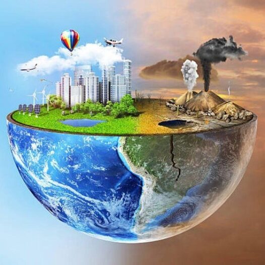 Bachelor of Science (Environmental Management)