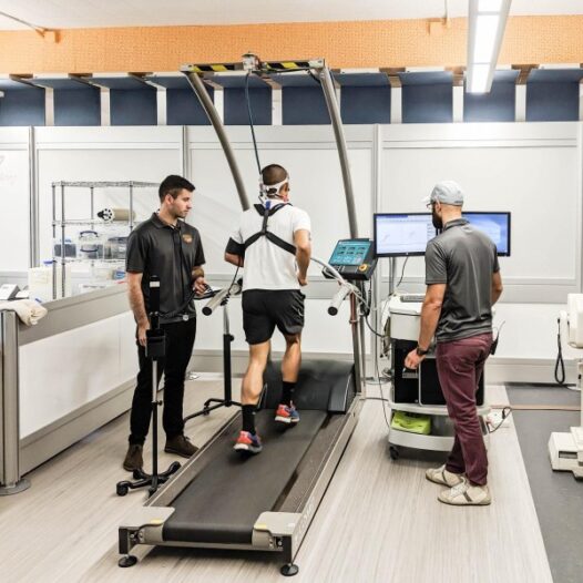 Bachelor of Science (Exercise & Sport Science)