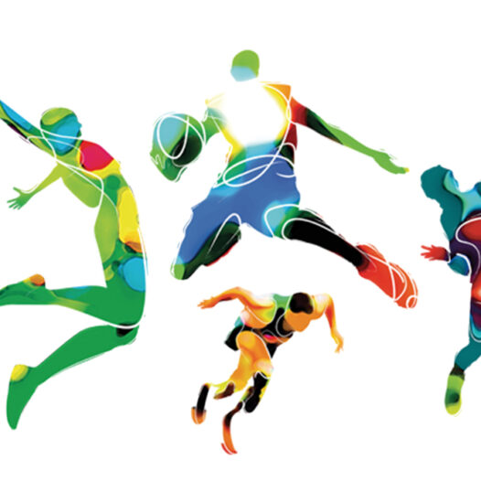 Bachelor of Education (Physical Education and Sports)