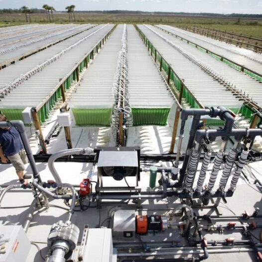 Bachelor of Science (Renewable Energy and Bio-fuels Technology)