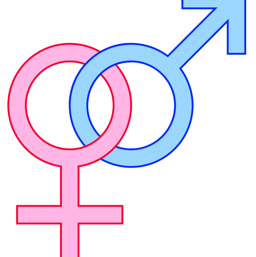 Bachelor of Arts (Gender)