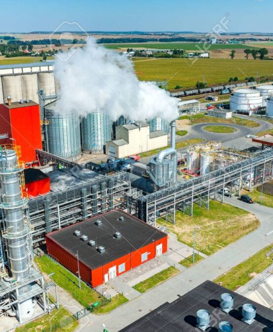Bachelor of Science in Industrial Biotechnology
